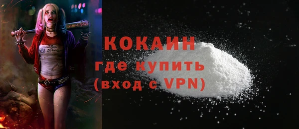 mix Богородицк