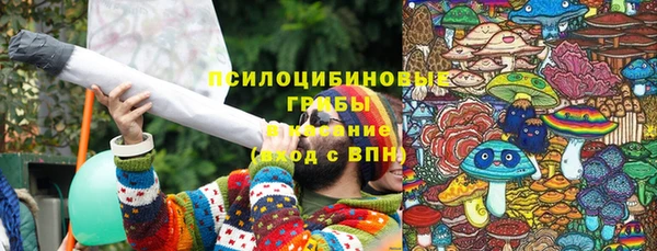 mix Богородицк