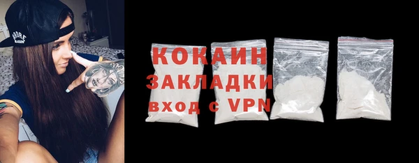 mix Богородицк