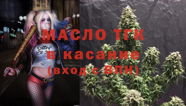 mix Богородицк