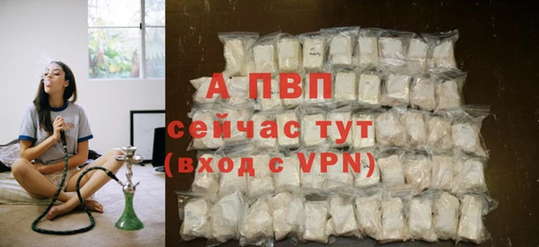 mix Богородицк