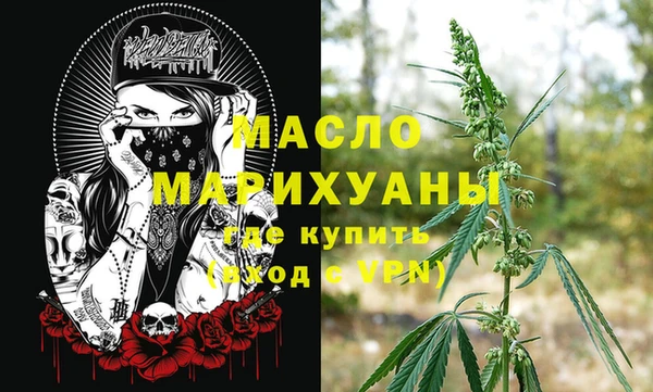 mix Богородицк