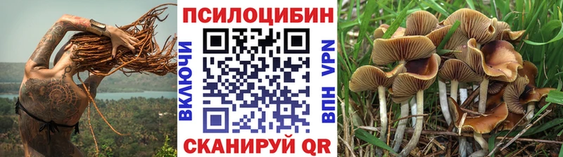 ссылка на мегу маркетплейс  Нерехта  Псилоцибиновые грибы Psilocybe 